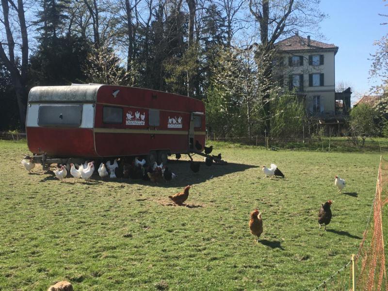 Bodensee Moosburg Biohof Am See Güttingen Dış mekan fotoğraf