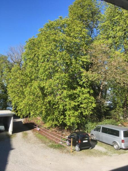 Bodensee Moosburg Biohof Am See Güttingen Dış mekan fotoğraf